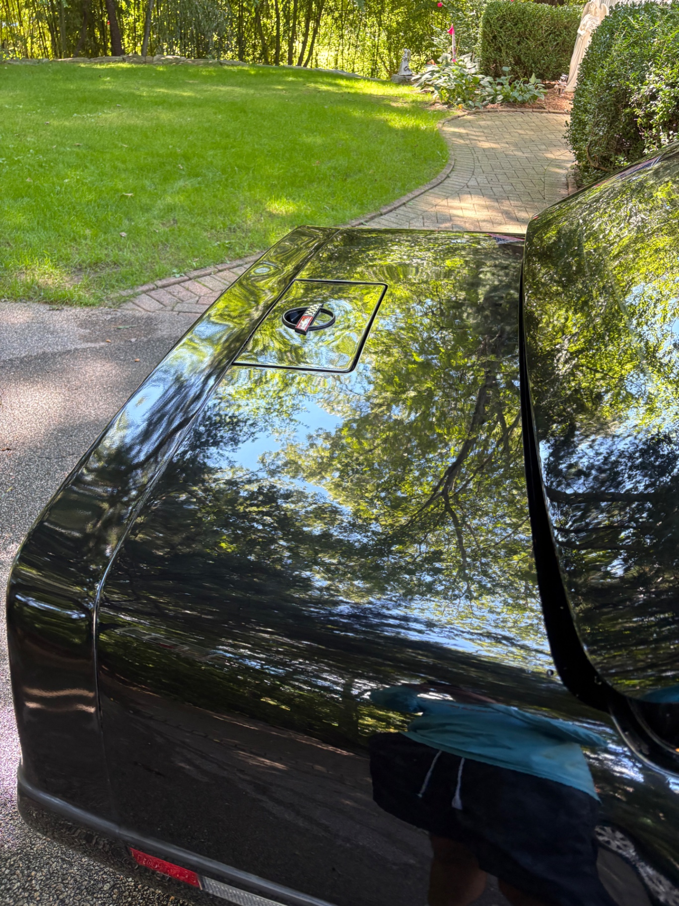 Black Corvette rear trunk lid with a polished emblem and mirror-like paint after detailing